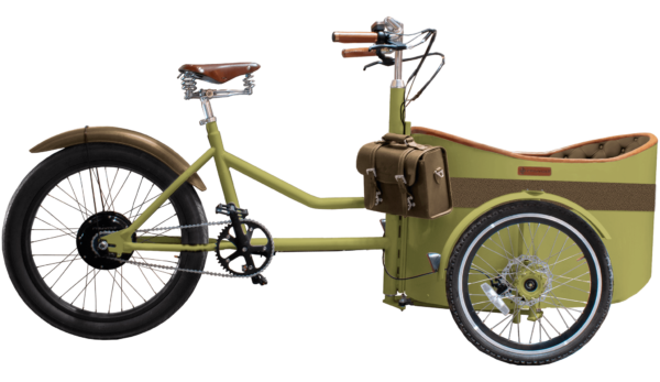 Rayvolt Trixie - Green - cargo e-bike