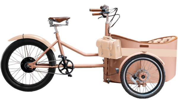 Rayvolt Trixie - Orange - cargo e-bike